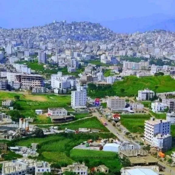 مأساة إنسانية تزلزل قرية ”الجديد” بإب: تسميم ”عصب الحياة” وتدمير مصدر رزق أسرة بأكملها